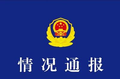 “女子高铁喧哗被劝阻后叫嚣全家体制内”，辽宁警方：身份系捏造