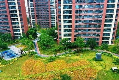 昔日斑秃地，今日花满园！青岛这处微更新“绣”出800平方米花海