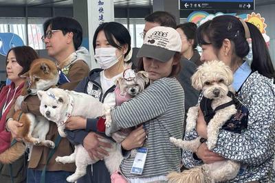 为“毛孩子”划出专属天地，青岛今年将建成宠物友好型公园5处以上