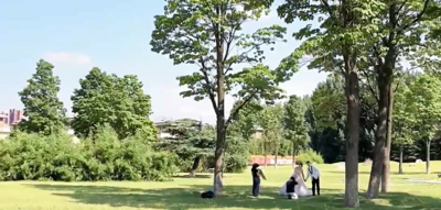 平度“小阿勒泰”：藏在街巷间的夏日诗境