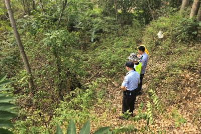 任性老牛“离家出走”深陷山沟！青岛警民联手地毯式搜寻