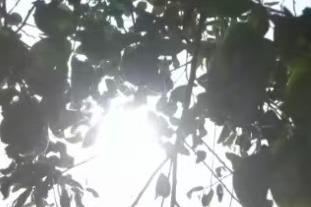 山东继续发布双预警！今明两天，多市最高气温37-39℃，局部可达40℃以上