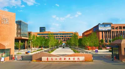 不止就业，更助扎根，青岛工程职业学院全链条育才就业新模式托举学子成才梦