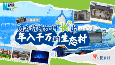 小巷寻宝｜废弃坑塘如何“长”出年入千万的生态村