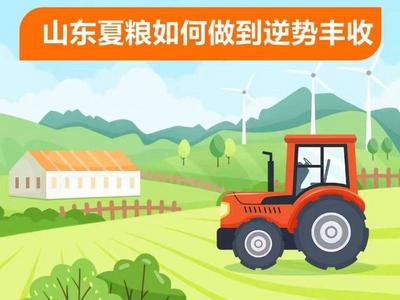 经济大省挑大梁｜逆势丰收！山东夏粮连续四年“三增”
