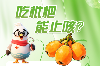 小鸥捉谣记 | 吃枇杷能止咳？