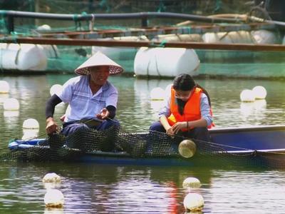 何以中国·青绿人间丨一粒珍珠激活塌陷地“转型密码”