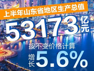 山东“微挖”和猫砂尽显中国经济韧性与活力