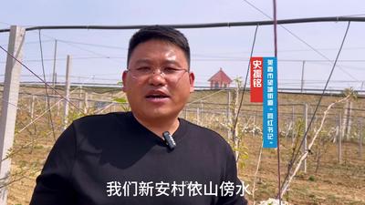 莱西望城街道：新媒体让乡村工作“会”说话