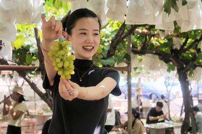 首次双线办会！4条精品线路+全域惠民福利……大泽山葡萄节游玩攻略抢先看