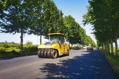 聚焦国省道绿色养护！青岛公路主编的这一省级地方标准发布实施