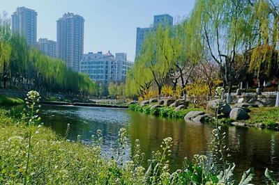 青岛两项再生水利用典型经验全国推广