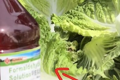 北京新发地启动紧急排查：涉事“甲醛白菜”未流入，当前市场白菜供应充足