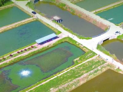跳出“千村一面”，写好“特色一篇”，山东分类有序、片区化推进乡村振兴