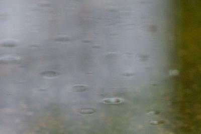 8月7日14时至8日6时，青岛全市平均降水量1.9毫米，最大点28.0毫米