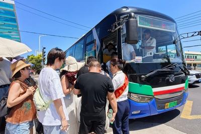 这一口鲜，公交直达！青岛618路开启“海蜇宴专线”模式
