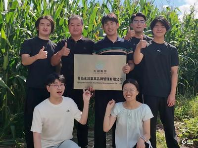 莱西迎来东方甄选团队，特色农产品开启溯源直播