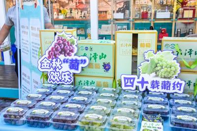 平度大泽山葡萄走进第36届青岛国际啤酒节