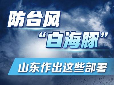 防台风“白海豚”，山东作出这些部署