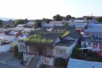 年中经济观察丨片区化推进乡村振兴 从“一时美”迈向“持久兴”