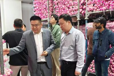 平度籍侨商毛安业逐梦迪拜二十载，深耕跨境商贸助家乡好物出海  