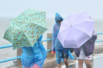 @青岛人，受台风外围环流影响，今天下午到明天大部分地区有阵雨或雷雨