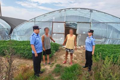 斩断盗窃黑手，护航农业生产！ 青岛警方破获系列盗窃大棚物资案