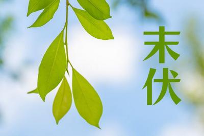 今日末伏，“加长版”三伏天正式进入尾声