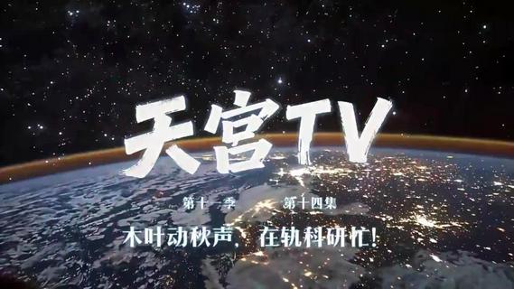 “天宫”TV上新！神二十三乘组在轨已超80天