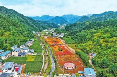河南发文：领导干部带头休假，全员应休尽休