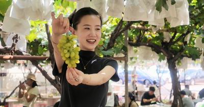 4条精品线路+全域惠民福利……大泽山葡萄节游玩攻略抢先看