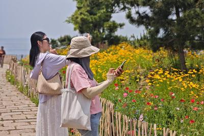 @青岛人，假期出行，这份健康小贴士请收藏→