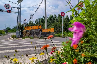 胶州市“农村公路智能化养护”交通强国山东示范区试点任务通过验收