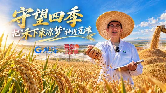 青岛故事丨守望四季，把“禾下乘凉梦”种进荒滩