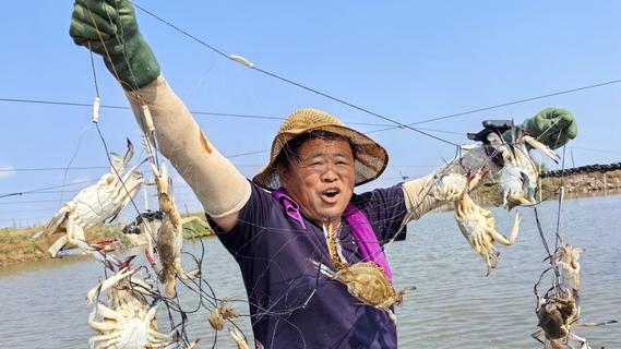 青岛：山海丰盈，又到丰收的季节
