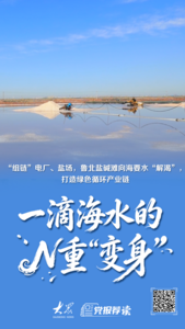 一滴海水的N重“变身”——鲁北盐碱滩向海要水，打造绿色循环产业链 
