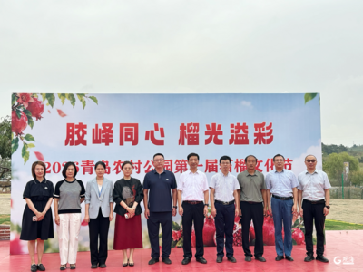 打造跨区域农文旅融合IP！青岛农村公园石榴文化节启幕