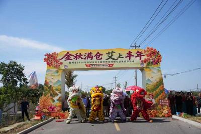 连续19年以“采摘”立节！胶州2026农民丰收节暨洋河慢生活体验季启幕