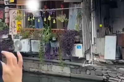 “山寨版葫芦”已出现，浙江“葫芦爷爷”最新发声