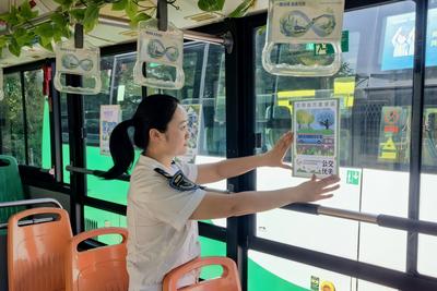 主题车厢+多点联动！公交出行宣传周，青岛温馨巴士这样护航绿色出行