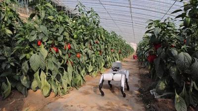 新华视点｜数智赋能山东融合发展新图景