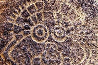 宁夏贺兰山新发现500多幅岩画，动物题材占多数
