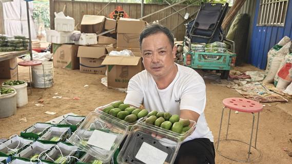 青岛60后大叔8年种出“甜蜜小果”