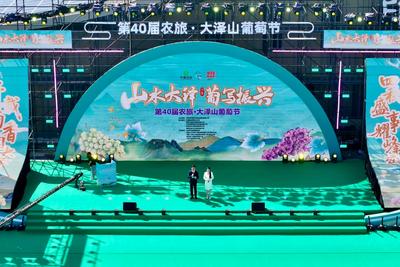 吃喝玩乐一应俱全！第40届农旅·大泽山葡萄节启幕