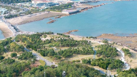 秋日小麦岛：诗意海岸引客来