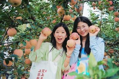 观海锐评 | ​激活消费新动能，增强发展拉动力