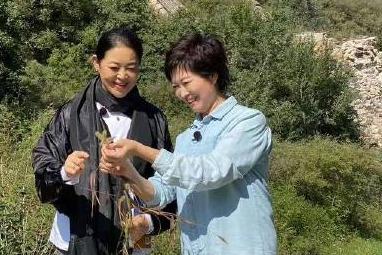 倪萍发长文缅怀敬一丹：给敬大姐的一封信