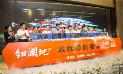 “两山”染绿黄河岸丨种好育肥“订单菜”，进京出国不愁卖