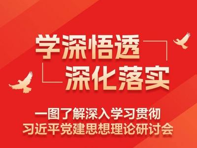 学深悟透 深化落实，一图了解深入学习贯彻习近平党建思想理论研讨会