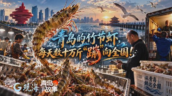 青岛的竹节虾，每天数十万斤“蹦”向全国！